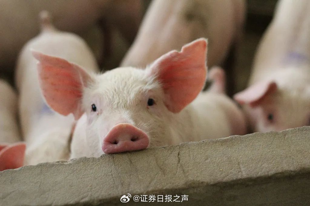 娱乐生活 第57页