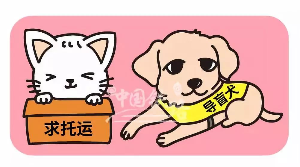 最新资讯 第52页