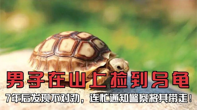最新资讯 第50页