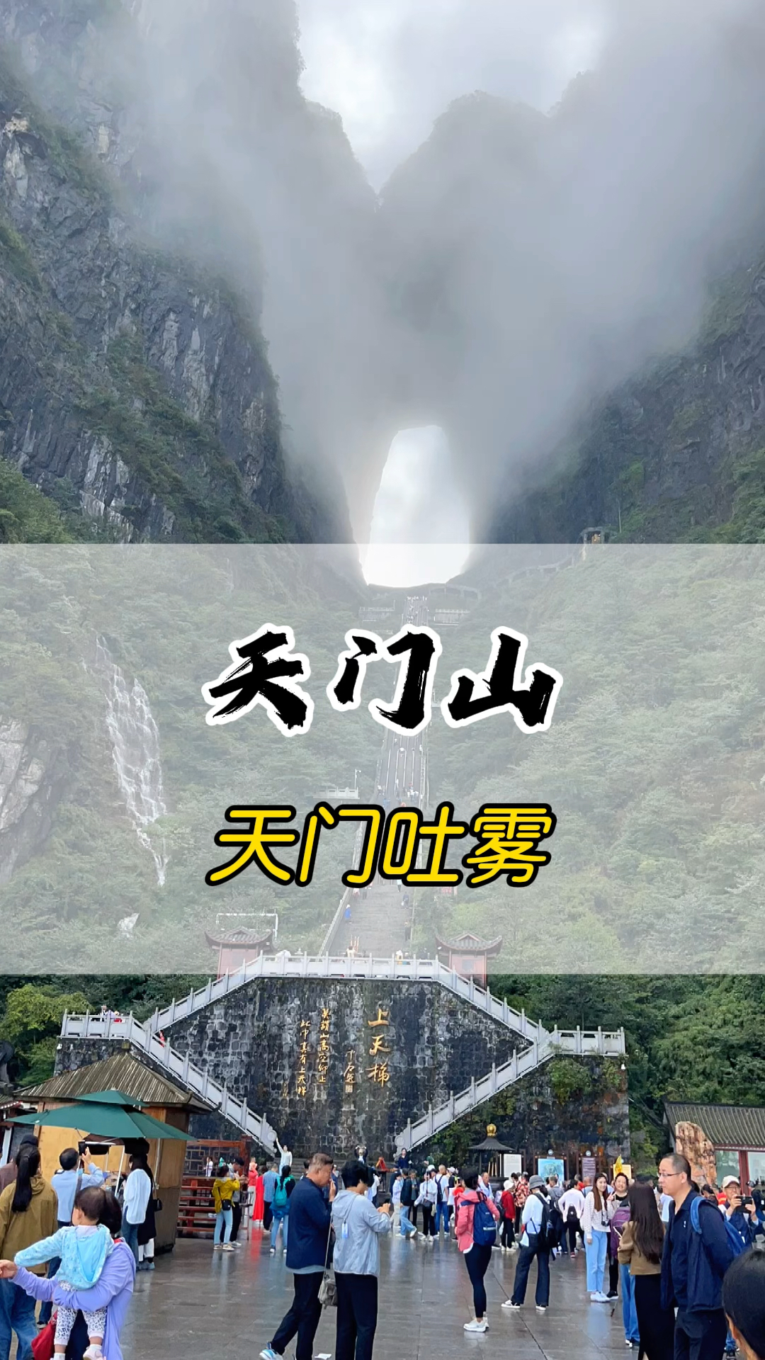 最新资讯 第28页