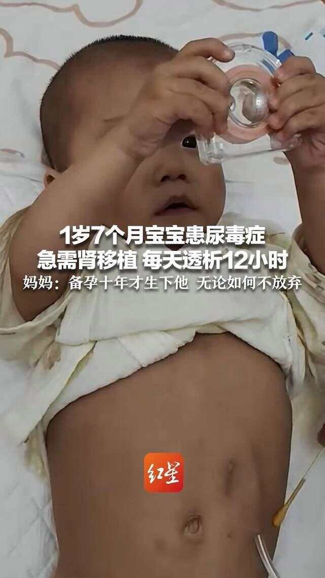 最新资讯 第17页